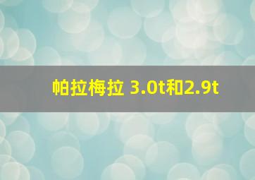 帕拉梅拉 3.0t和2.9t